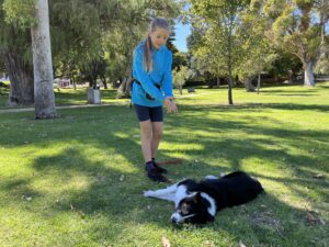 Girl practicing complex obedience skills with her dog in a park setting.