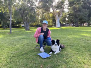 Dog training session outdoors with a trainer and a Border Collie in a park setting.