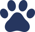 Professional dog training classes with Agile Dogs in for better behaviour.