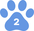 Agile Dogs logo on a clean background, representing dog training services.