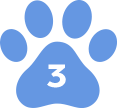 Professional dog training by Agile Dogs for obedience and behavior improvement.