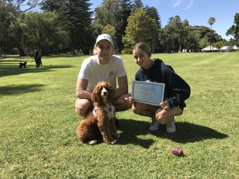 Dog training certification ceremony in park with trainer and owner.