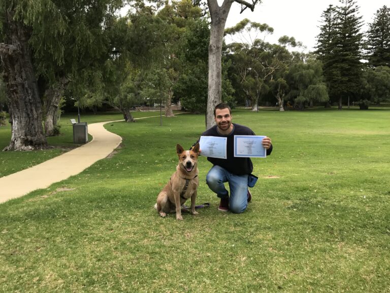 Happy dog owner with certified service dog in park setting.