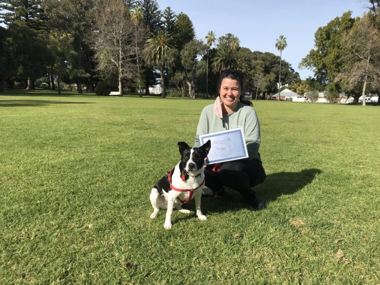 Dog training certification award with smiling woman and Boston Terrier in park.