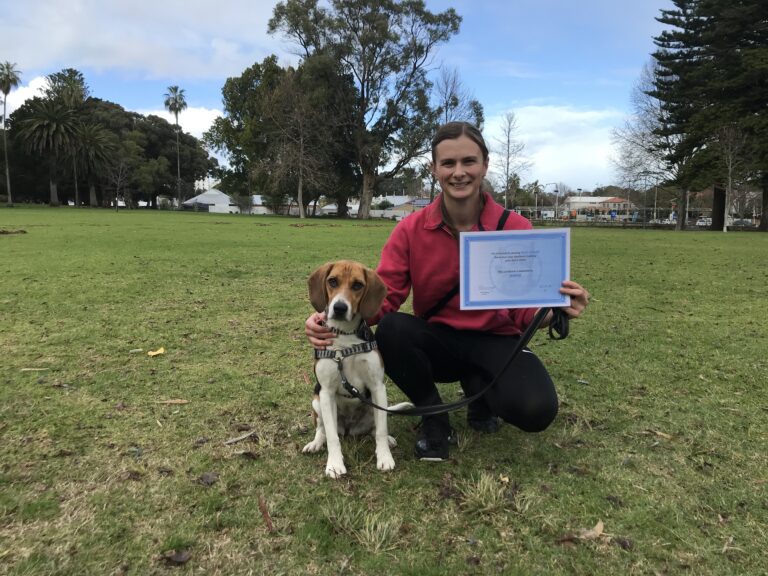 Dog training certification ALT tag.
