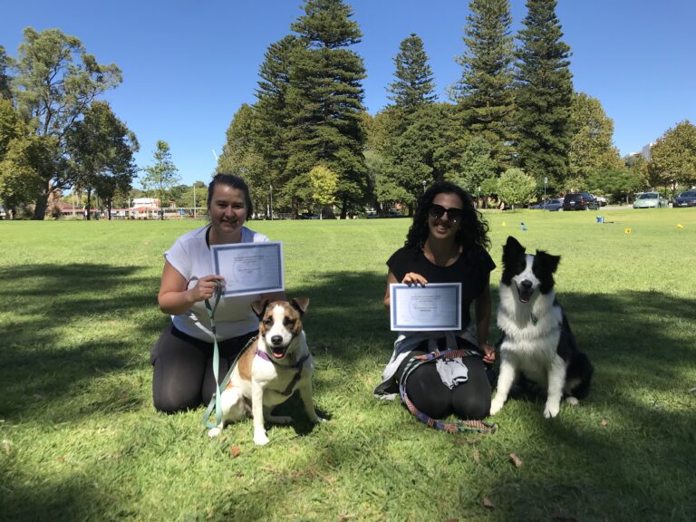 Dog training certification session outdoors with two women and their dogs, emphasizing professional.