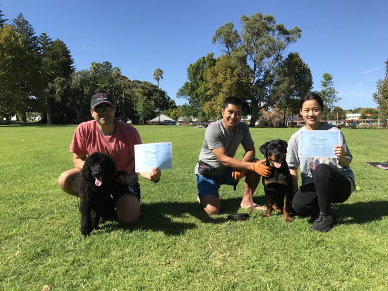 Happy dog owners with their certified dogs during training graduation.
