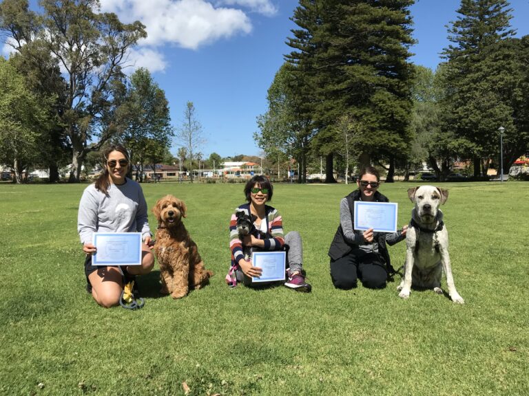 Agile Dogs dog training certification event outdoors with dogs and handlers.
