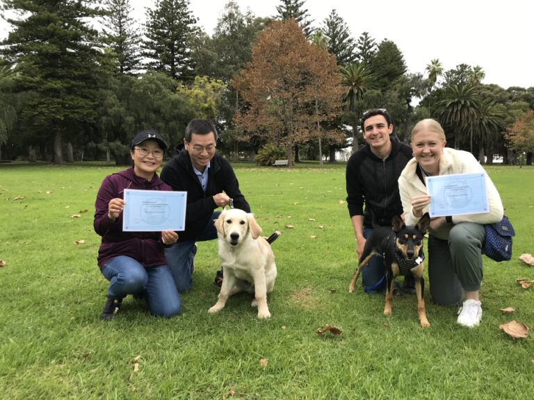 Group of people with dogs celebrating dog training success outdoors.