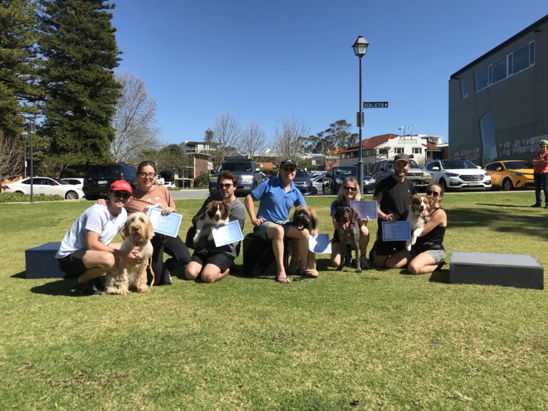 Engaging dog training class with owners and their pets in a sunny park setting.