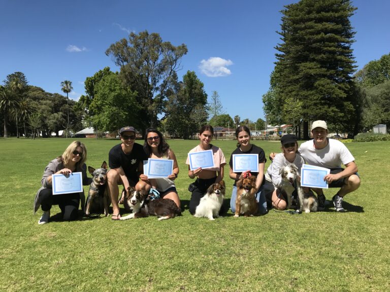 Dog training certification group photo at Agile Dogs, featuring clients and their well-behaved dogs.