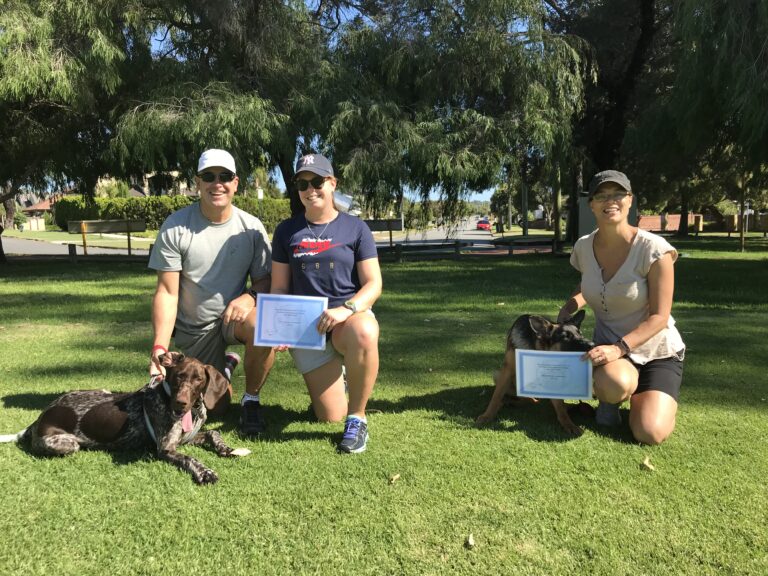 Group of women with dogs during agility training session in park.