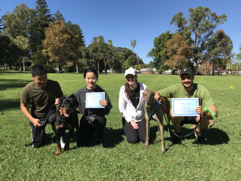 Group of people with dogs celebrating dog training certification outdoors.
