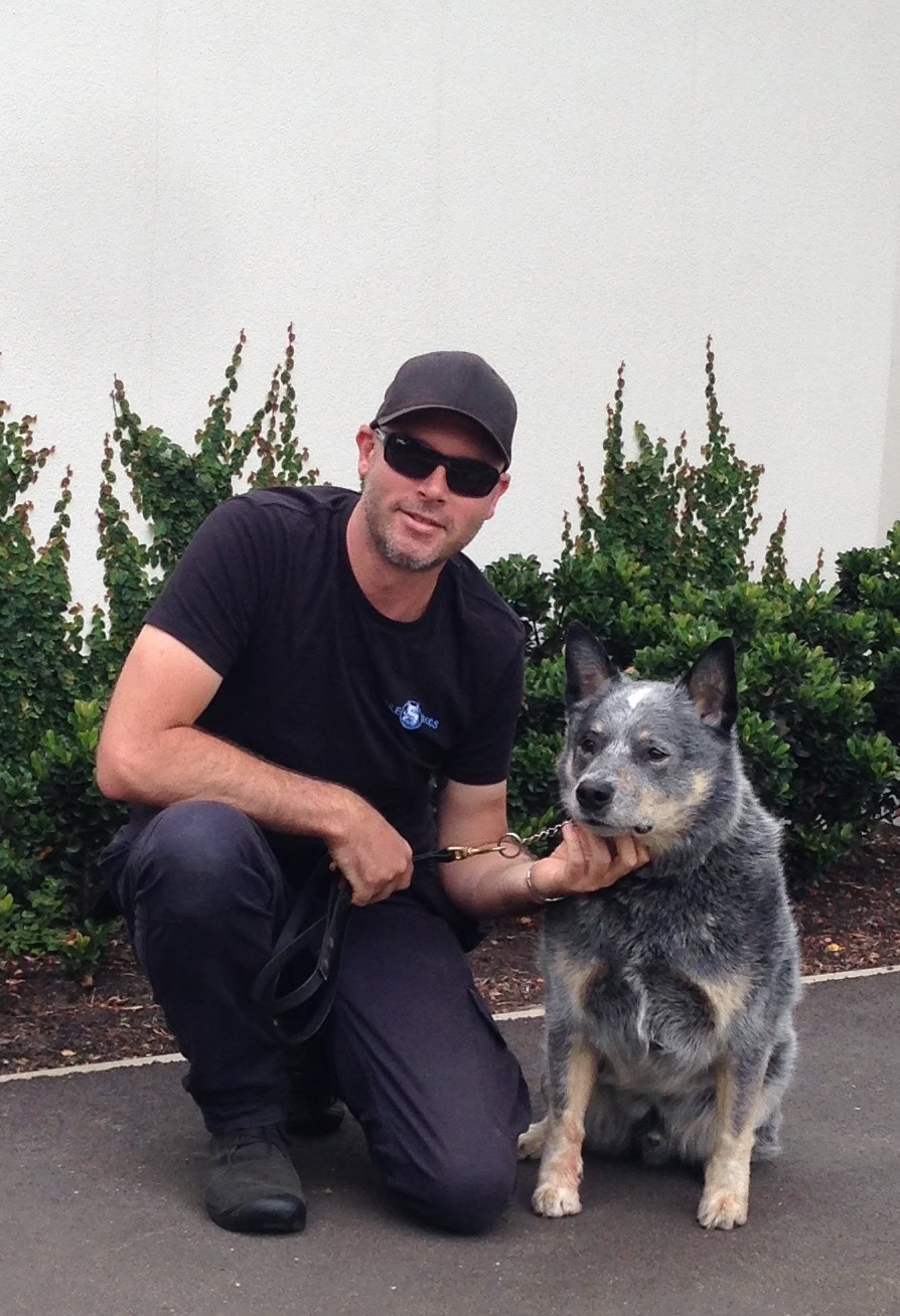 Man with sunglasses kneeling beside Australian Cattle Dog outdoors.