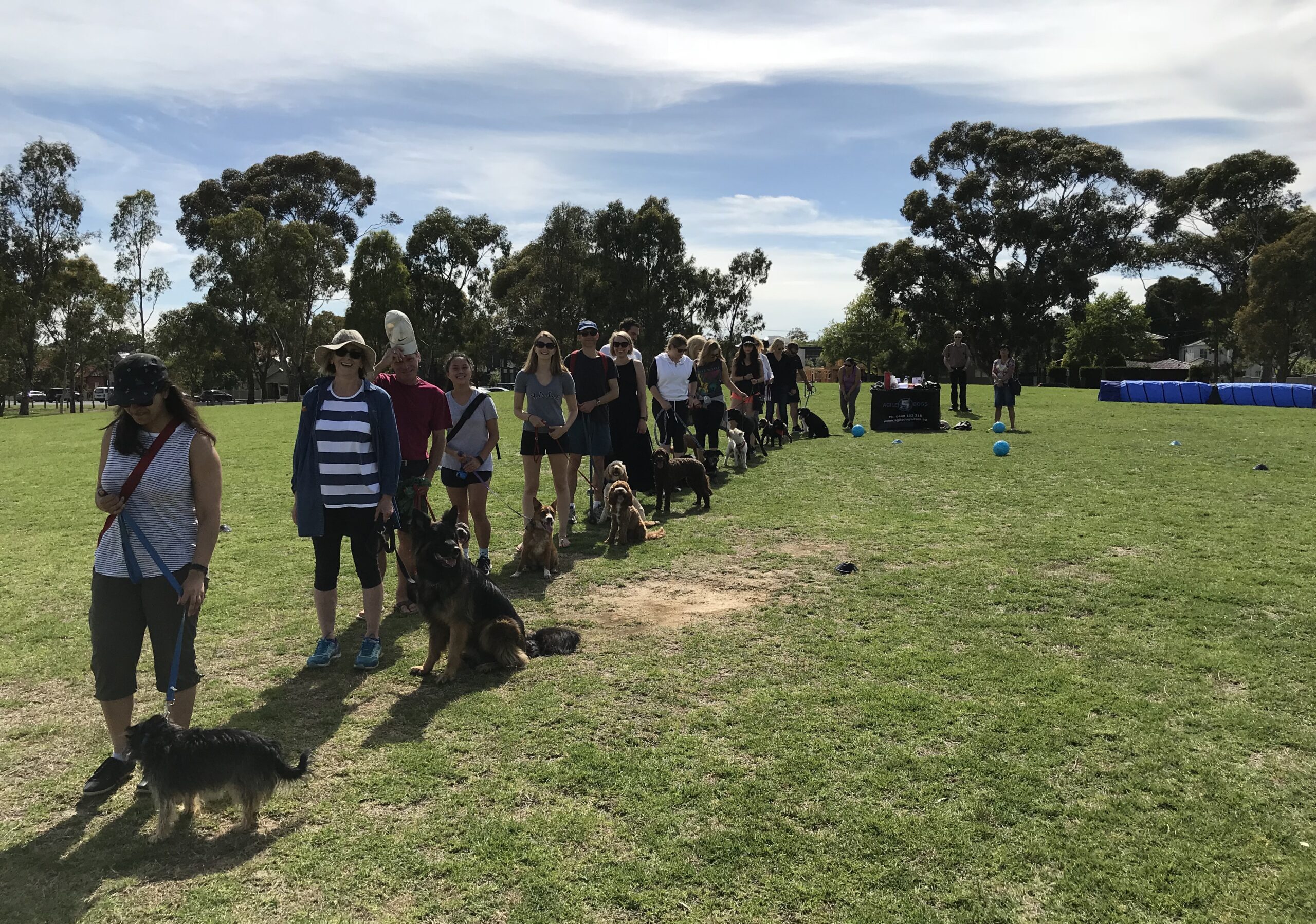 Dog training classes for obedience and socialization in a friendly environment. Suitable for all dog.