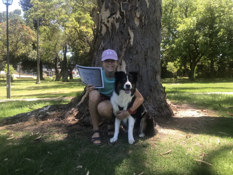 Dog and girl training outdoors in a park with lush greenery.