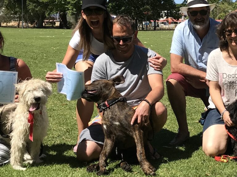 Dog training group photo at a park, showcasing agility and teamwork.
