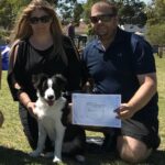 Dog training certification award for agility and obedience skills.
