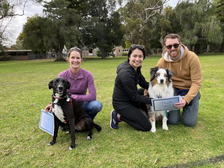 Happy dog owners with their trained Australian Shepherd and Labrador at Agile Dogs.