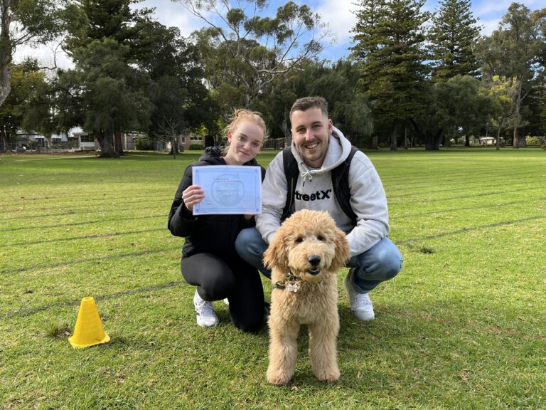 Happy dog training session with owner and trainer outdoors in park.