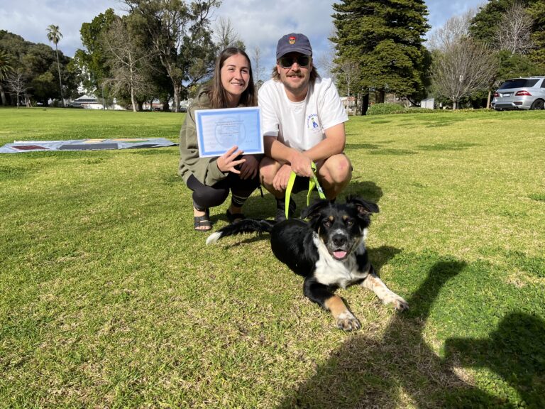 Happy dog trainer and owner celebrating with their certified dog outdoors.