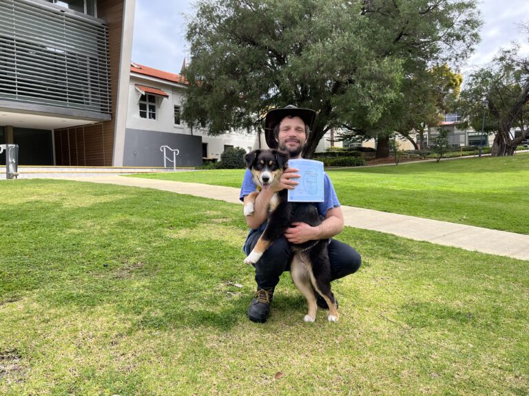 Dog training session outdoors with a man and a Border Collie puppy in a park setting.