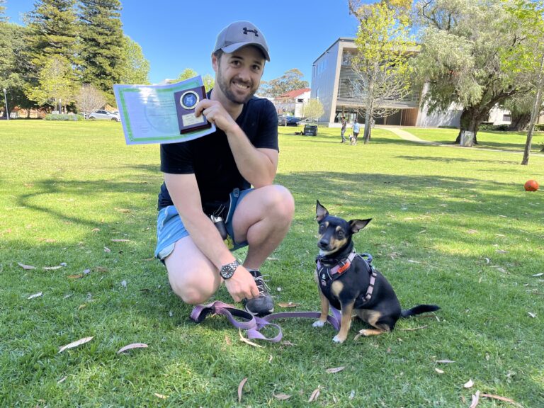 Man training dog outdoors in park with agility equipment.