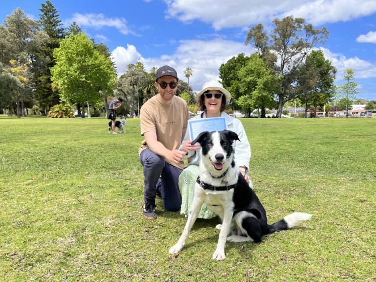 Happy dog with owners during outdoor training session in a park.