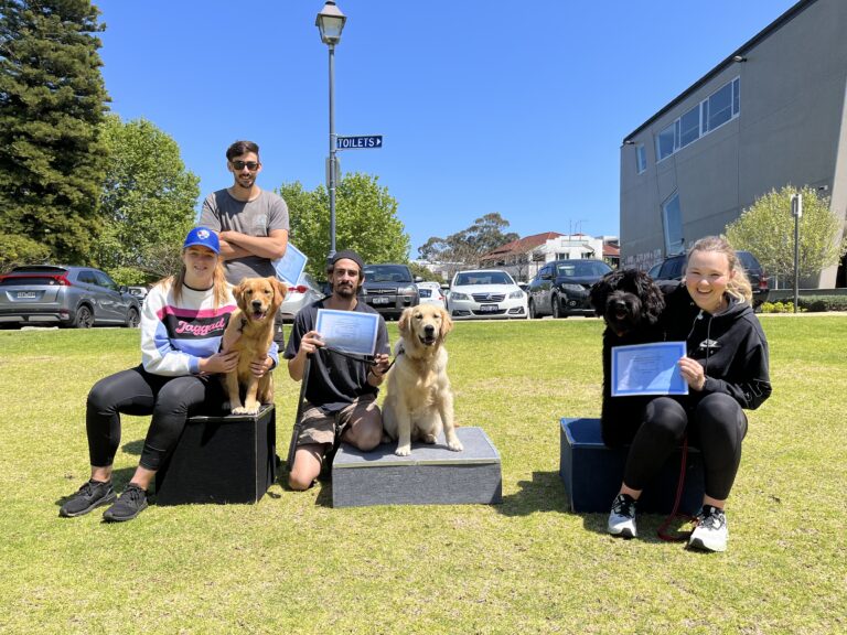 Group of people with dogs at Agile Dogs training session outdoors.