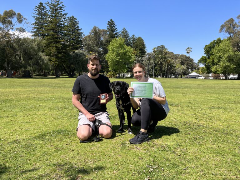 Happy dog owners celebrating training success outdoors with their dog and certificate.