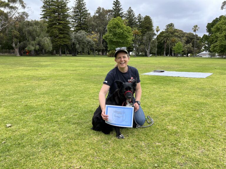Agile Dogs training session with a smiling trainer and her dog outdoors.