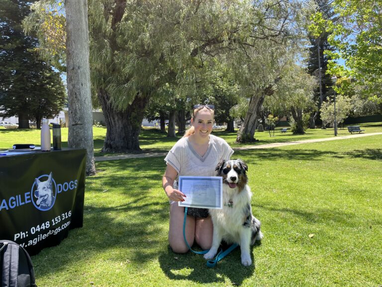 Dog training certification award presentation in a park.