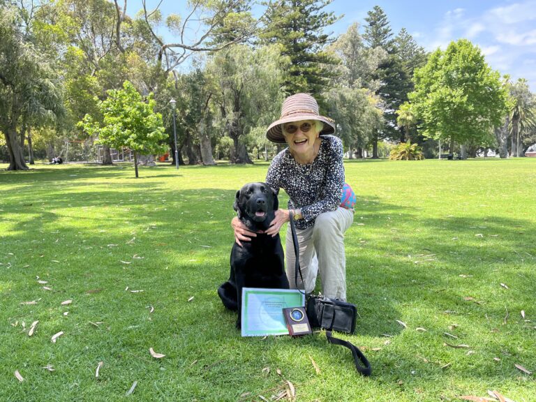 Woman training black Labrador in park with agility tools.