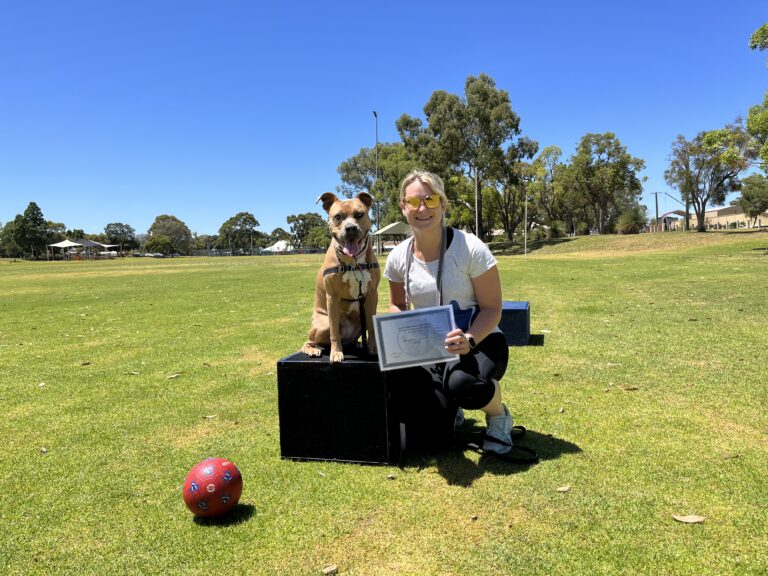 Dog agility training outdoors with a smiling woman and her dog.