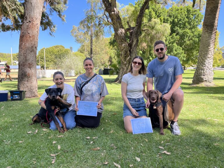 Group of people with dogs at Agile Dogs training session in park.