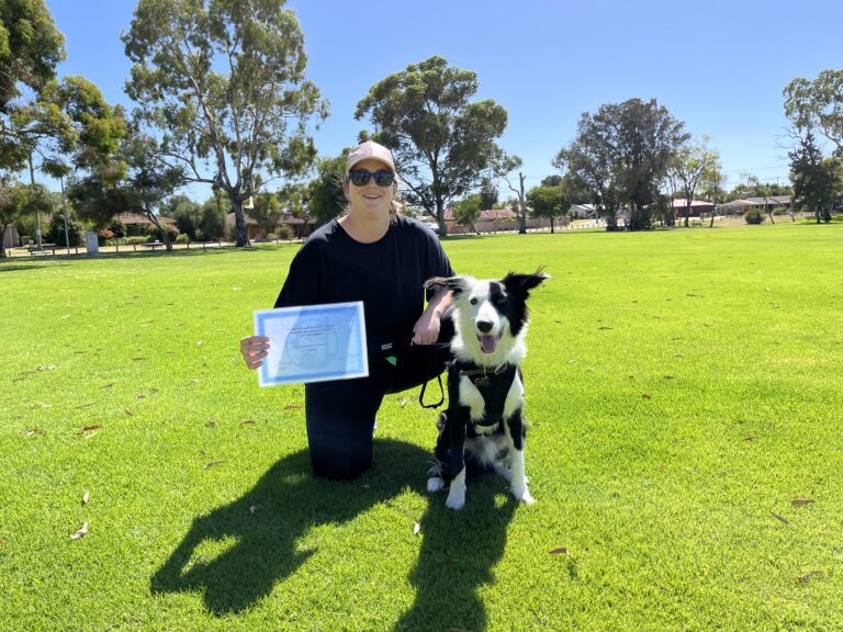 Woman with Border Collie during agility training in park.