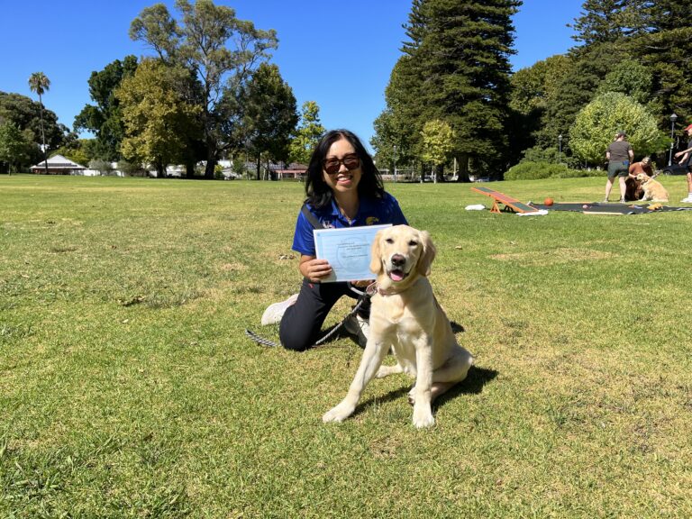 Dog training, agility, obedience, park, outdoor, professional dog trainer.