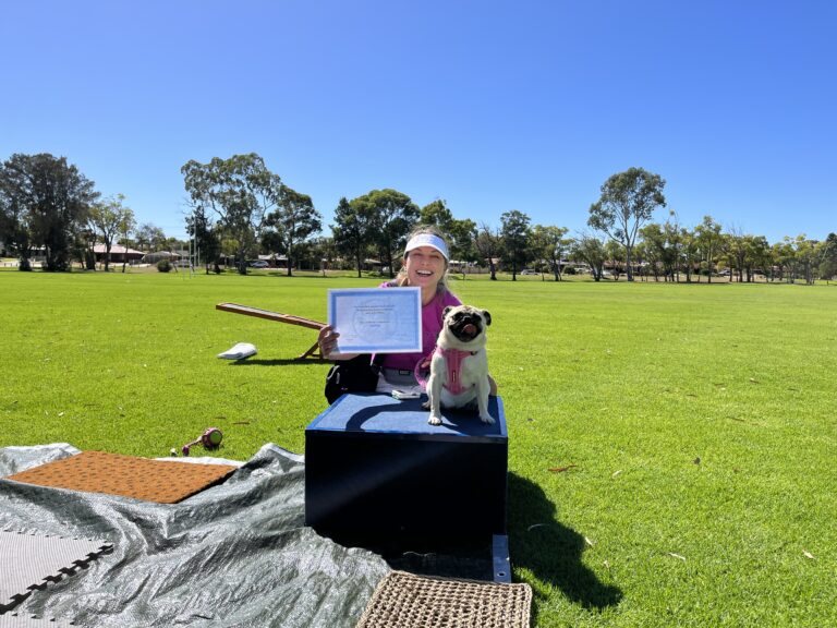 Happy dog and trainer during agility training session in park.