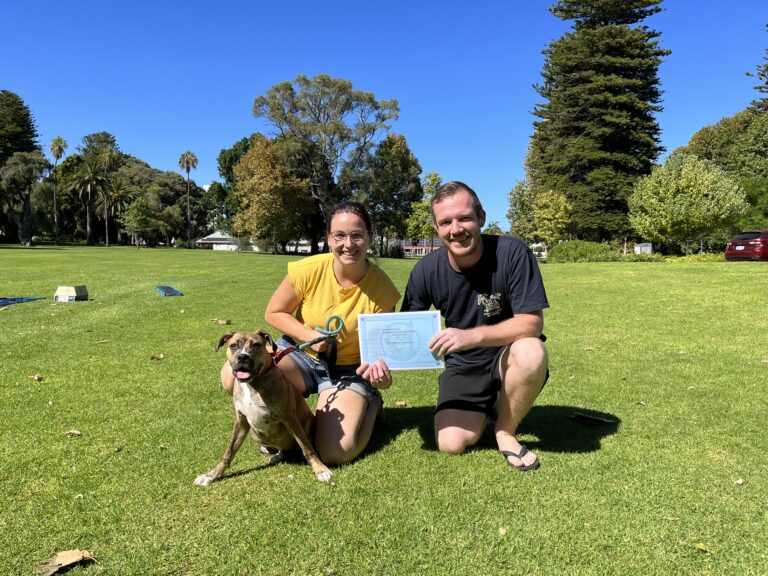 Happy dog owners with their dog during certification celebration at Agile Dogs.