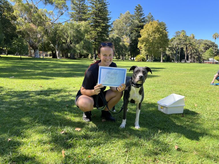 Woman with dog celebrating training success in park.