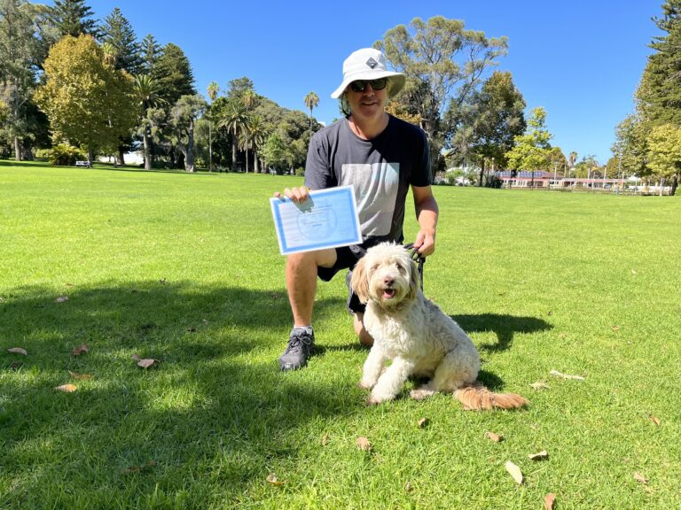 Trainer with dog during outdoor agility training session in park.