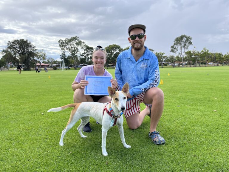 Happy dog and trainers during agility training session in park.