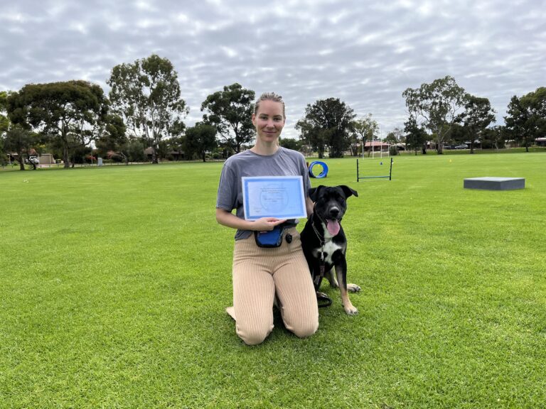 Dog training certification award presentation in a park setting.