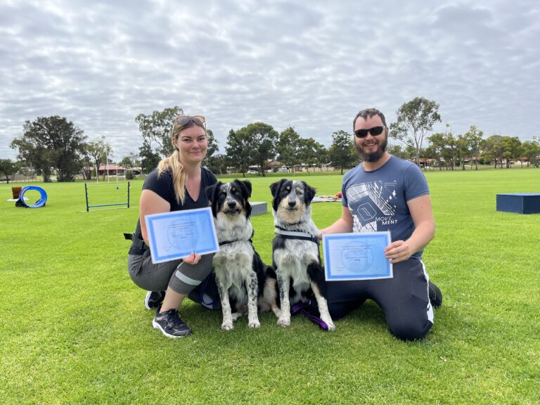 Happy dog trainers with two Australian Shepherds outdoors at Agile Dogs.