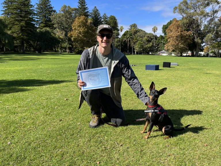 Dog training certification outdoors with a trainer and a Doberman in a park.