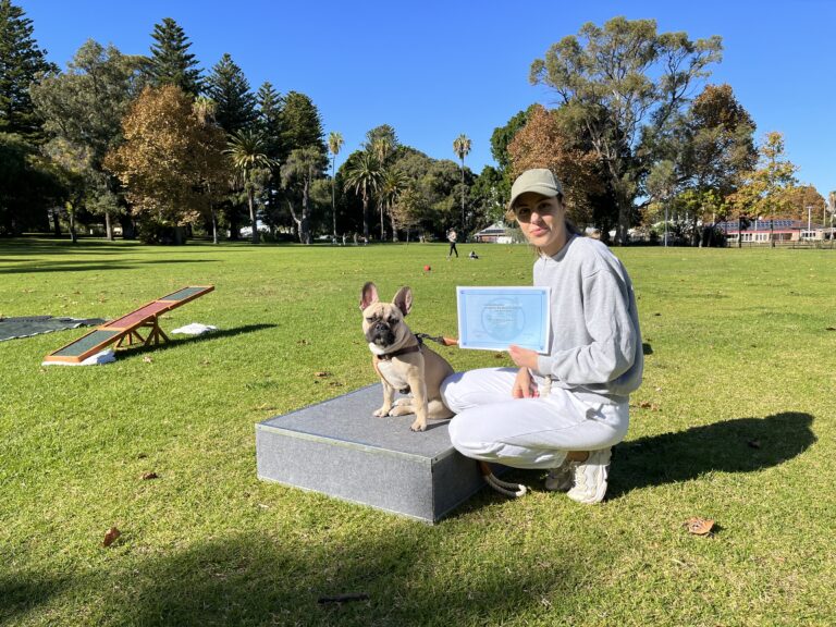 Woman with French Bulldog during dog training certification in park.
