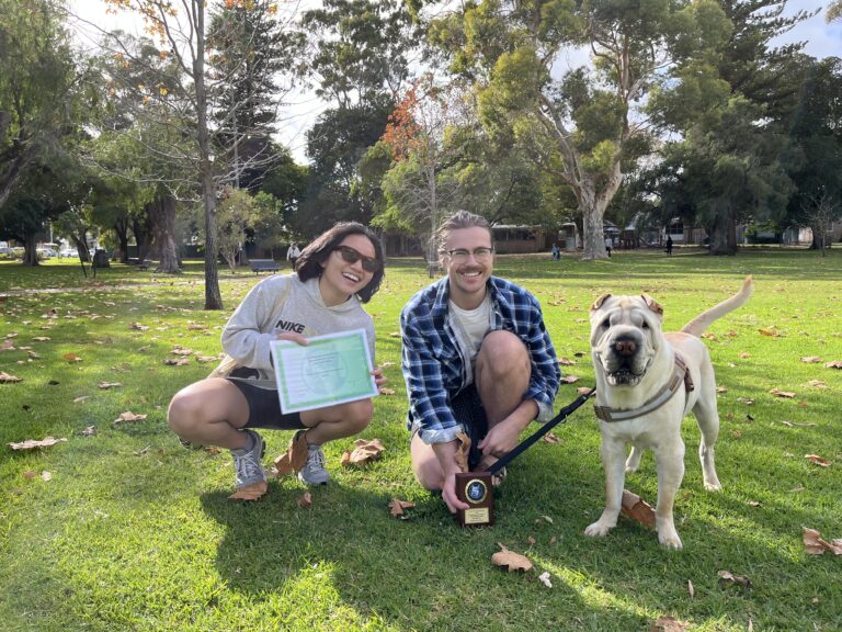 Happy dog training session in park with owner and trainer.