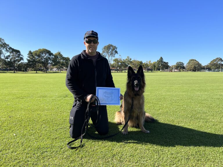 Man with German Shepherd during Agile Dogs training in a sunny park.
