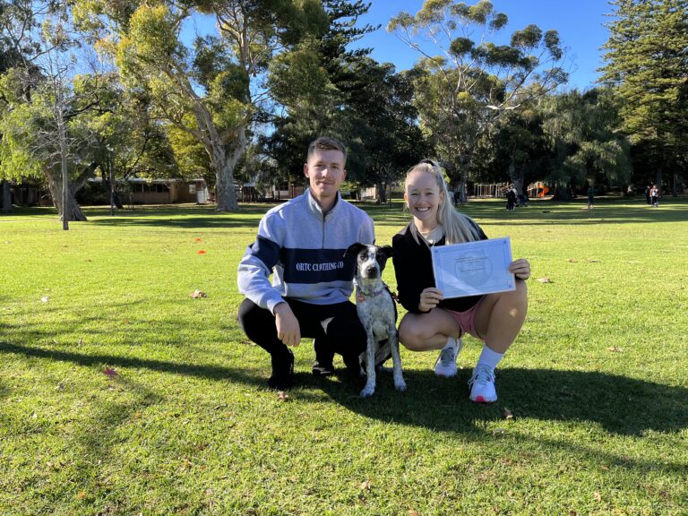 Dog training session in a park with a trainer, owner, and dog.