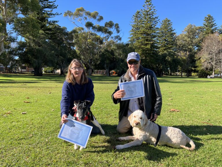 Woman and man with dogs holding certificates in a park setting.